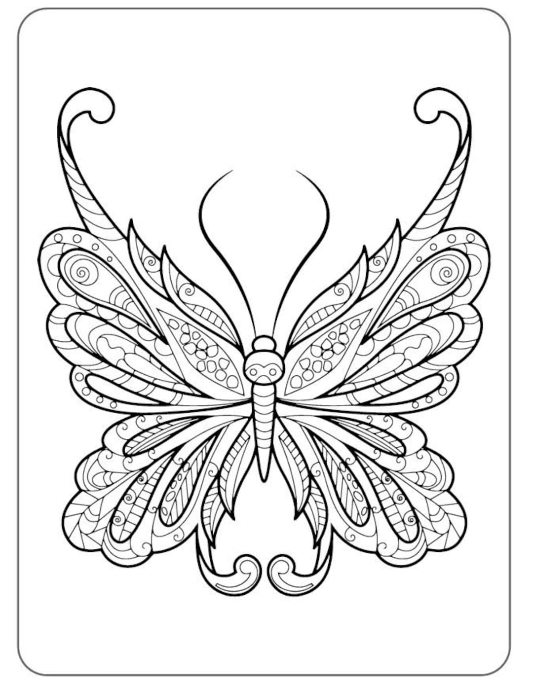 Pãginas para colorear de mariposas tipo mandala de alta calidad para adultos o niãos descarga pdf imprimible