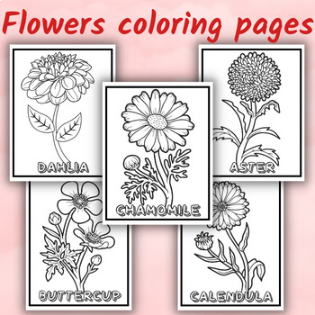 Blooming creativity printable flower coloring pages for kids made by teachers