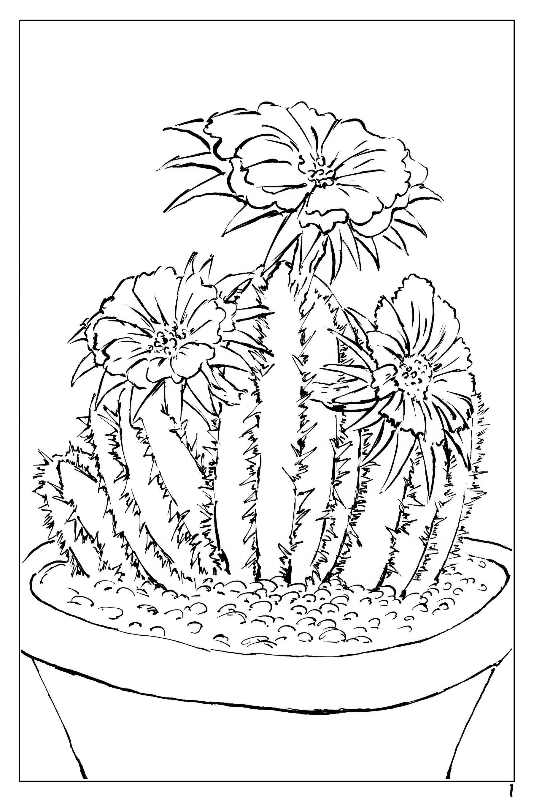 Plants and flowers themed watercolor coloring book â wondering watercolor