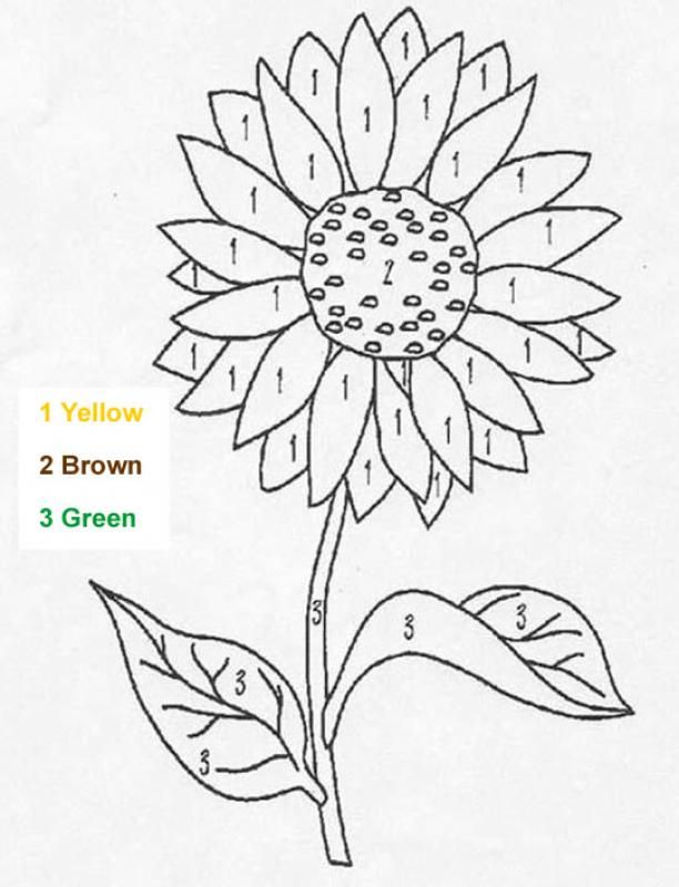 Nature color by number coloring pages