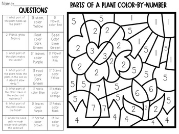 Parts of a plant color