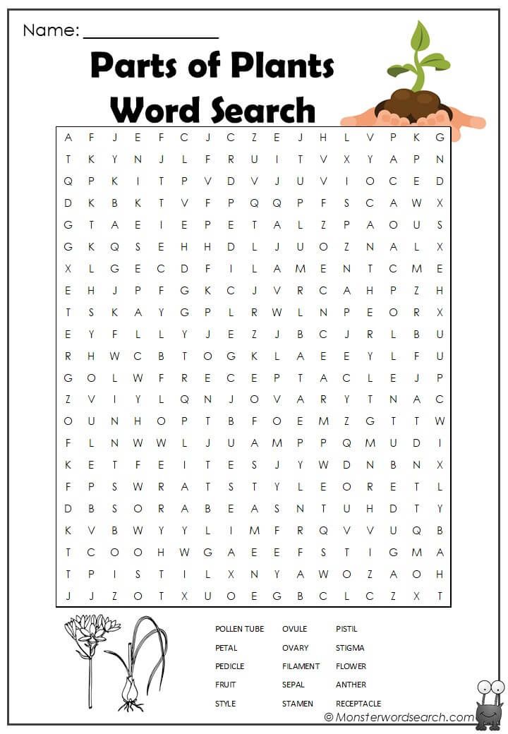 Parts of plants word search word find word puzzles free printable word searches