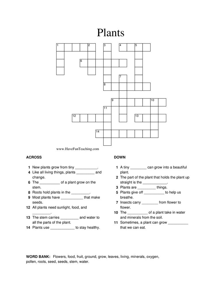 Crossword puzzle on nutrition in plants