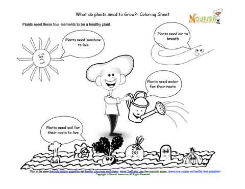 Chef solus four elements that all plants need learning and coloring sheet