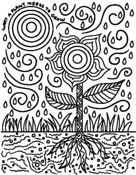 Plant coloring pages tpt