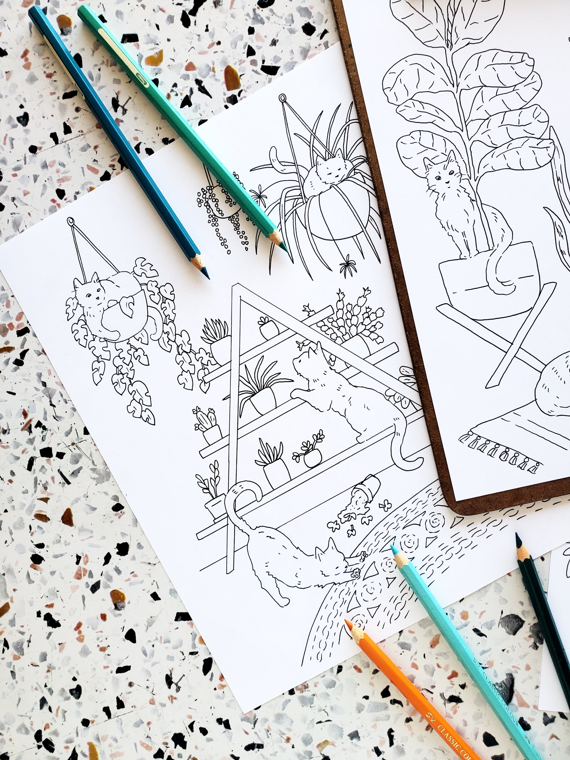 Cats plants coloring pages instant printable download â sketchy notions