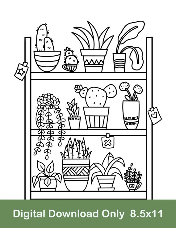 Plant shelf printable coloring page potted plant coloring page cactus coloring page digital download