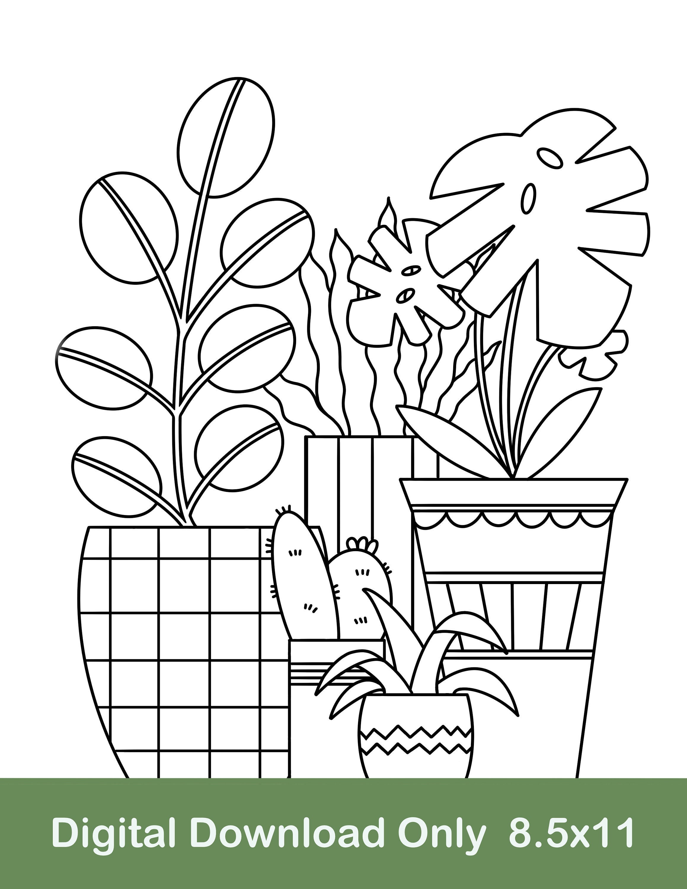 Plant set printable coloring page plant coloring page potted plant coloring page digital download