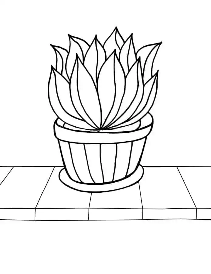 Coloring pages of plants âfor free