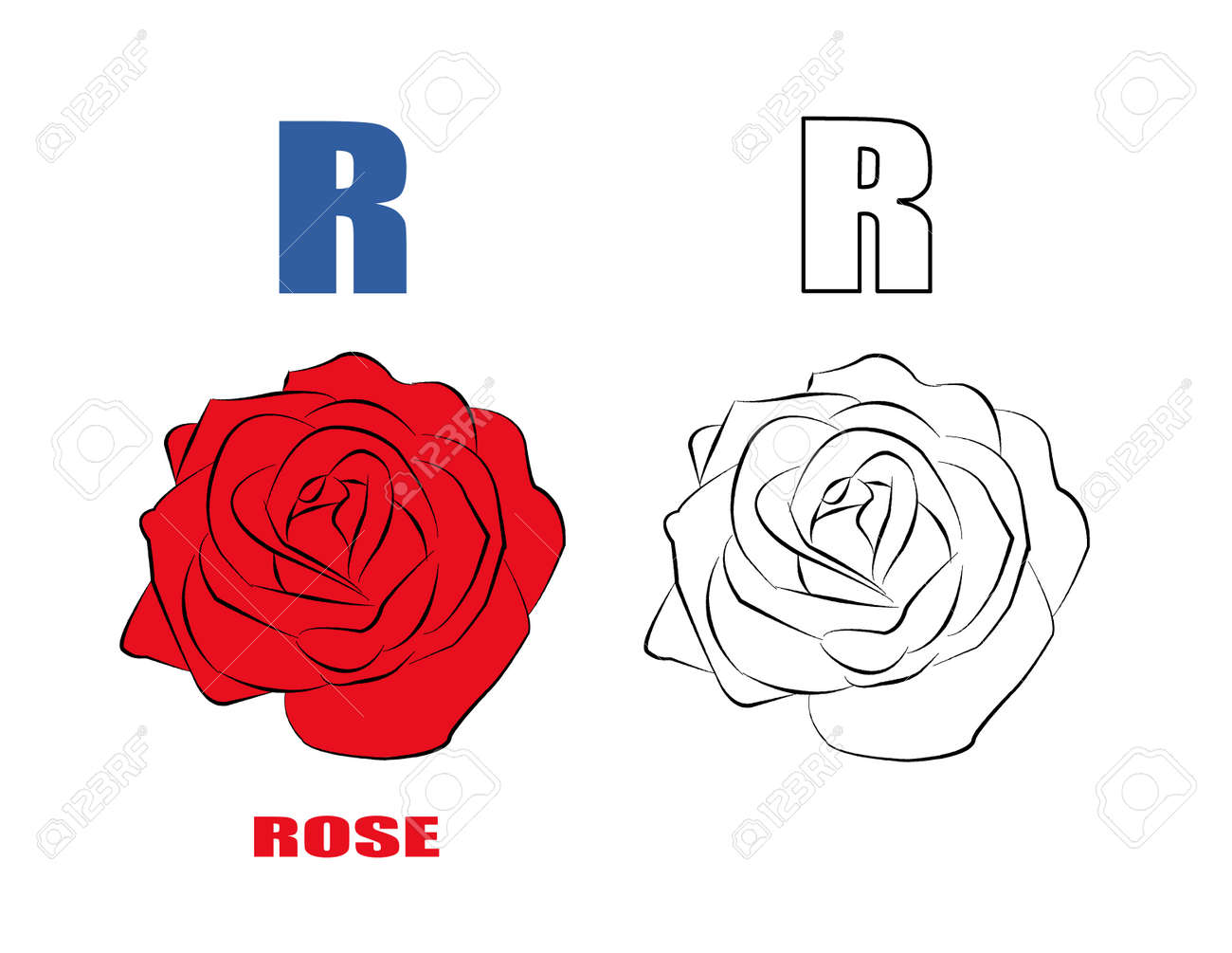 Alphabet r with drawing of rose flower for coloring book stock photo picture and royalty free image image