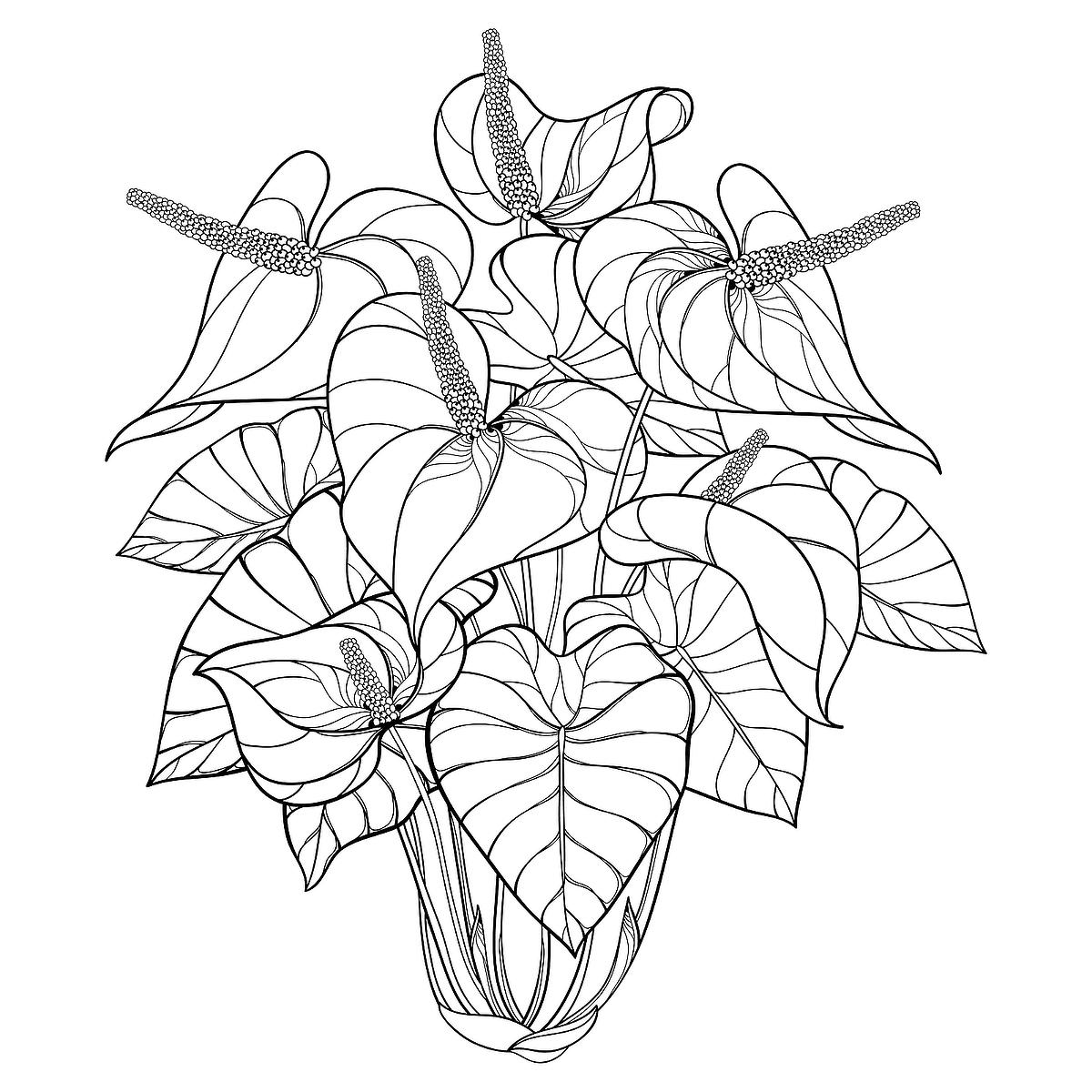 Houseplants coloring pages free printable coloring pages of plants for plant lovers printables mom