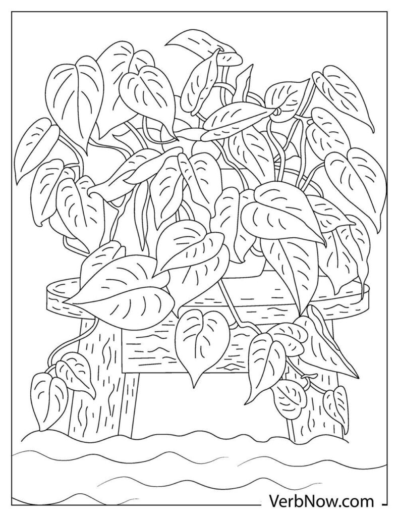 Free plant coloring pages book for download printable pdf