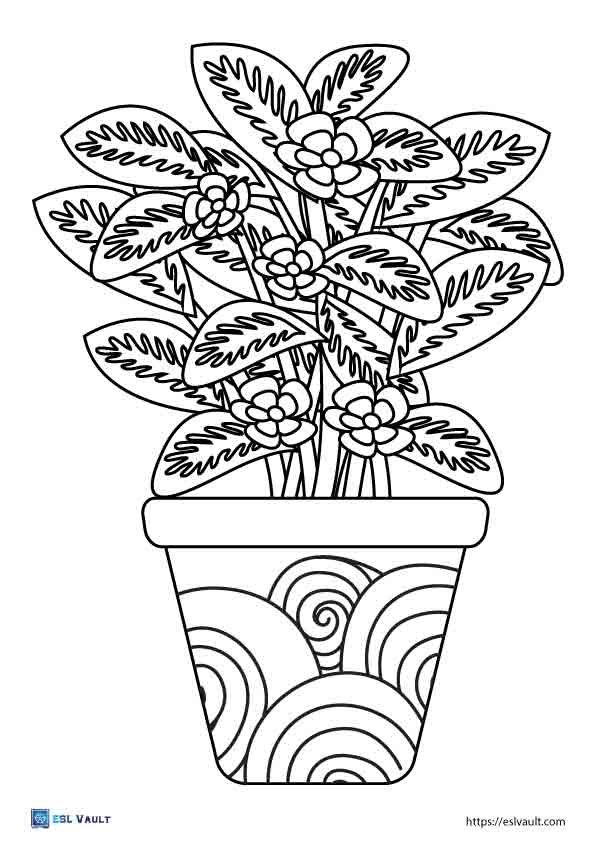 Free printable plant coloring pages