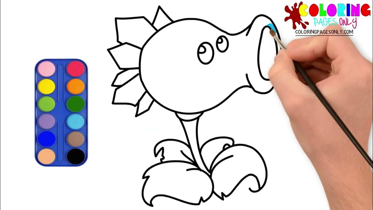 How to draw and paint plant vs zombie coloring pages for kids