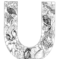 Animal and plant alphabet letter u coloring pages