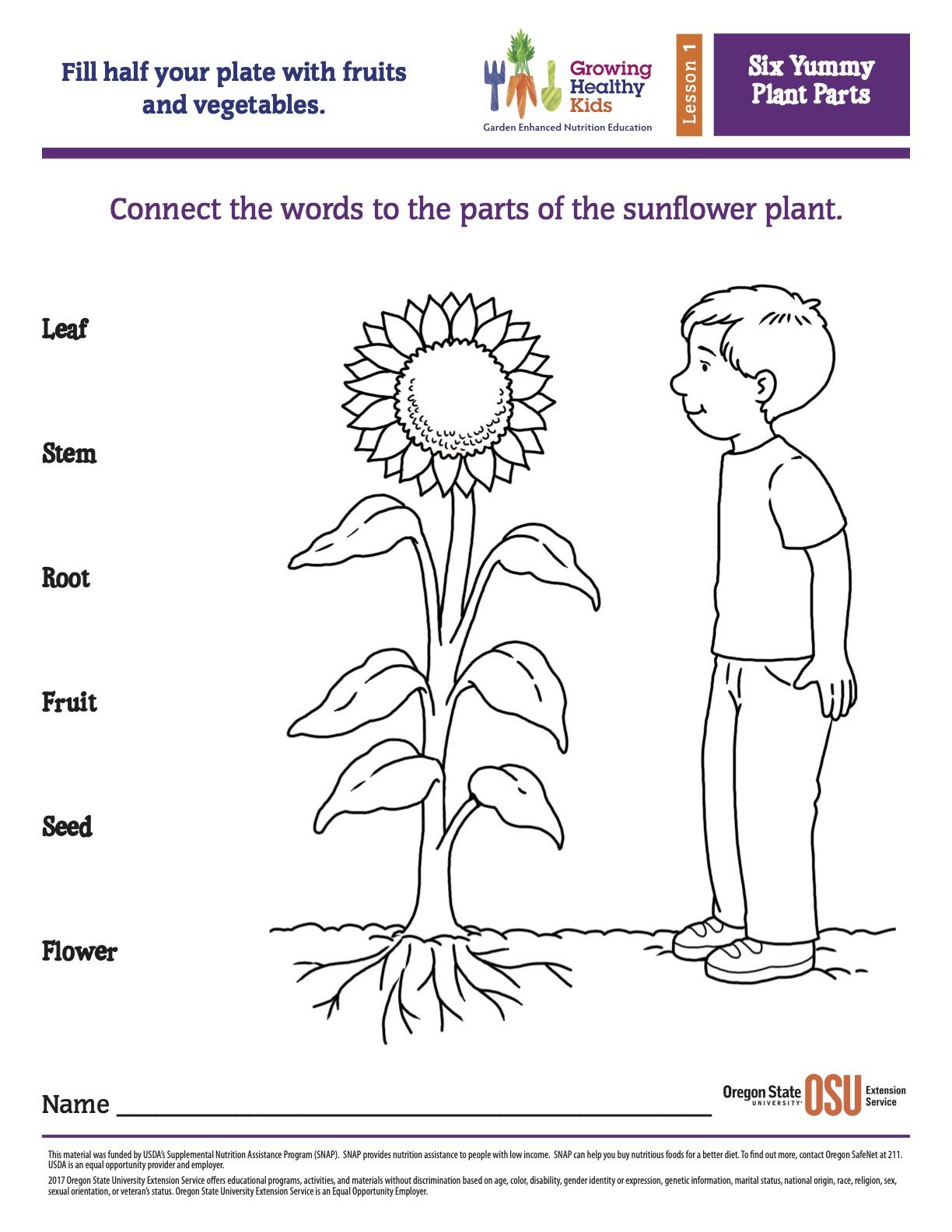 Six yummy plant parts parts of a plant color activities coloring sheets