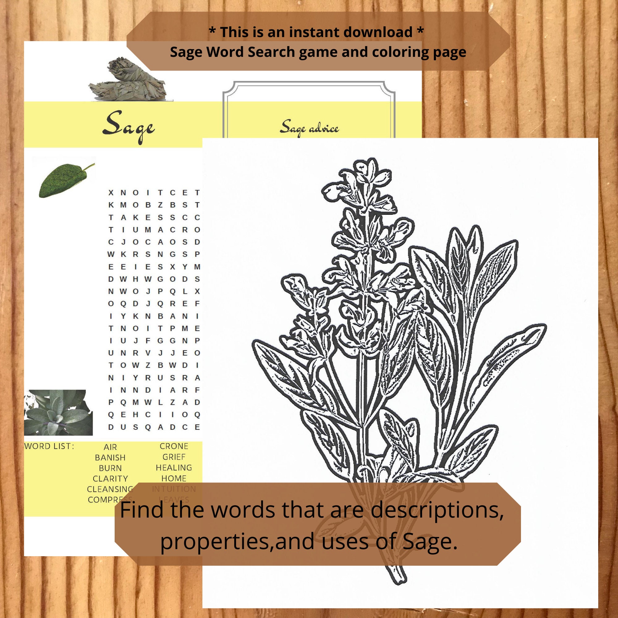 Word search digital download printable game and coloring page herbal word seek x pagan word search wicca word search