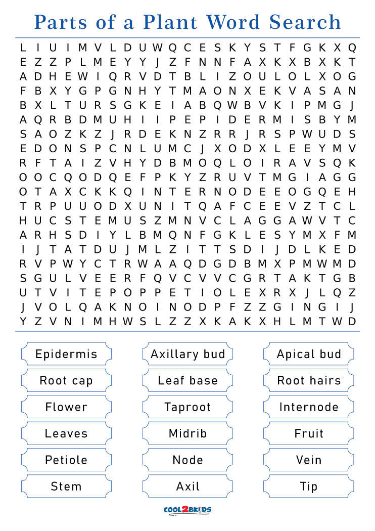 Printable plant word search