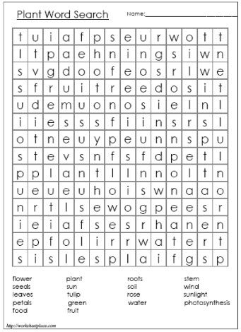 Plant word search plants worksheets plant science plant lessons