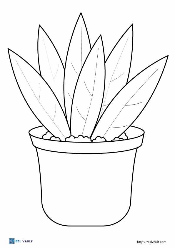 Free printable plant coloring pages