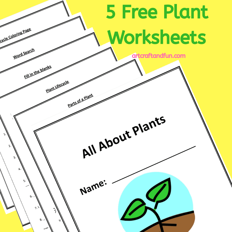 Free printable plant worksheets