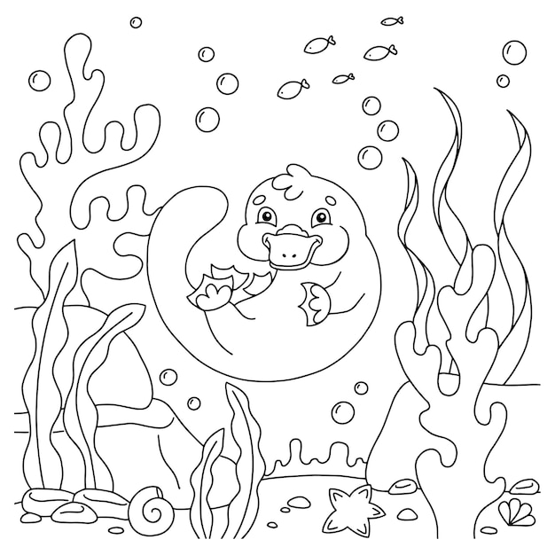 Premium vector cute animal platypus coloring book page for kids