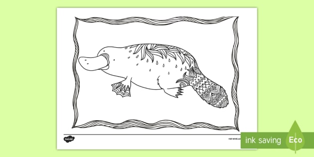 Mindful colouring platypus platypus colouring pages