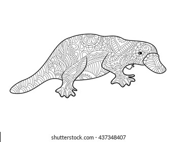 Platypus coloring book adults vector illustration stock vector royalty free