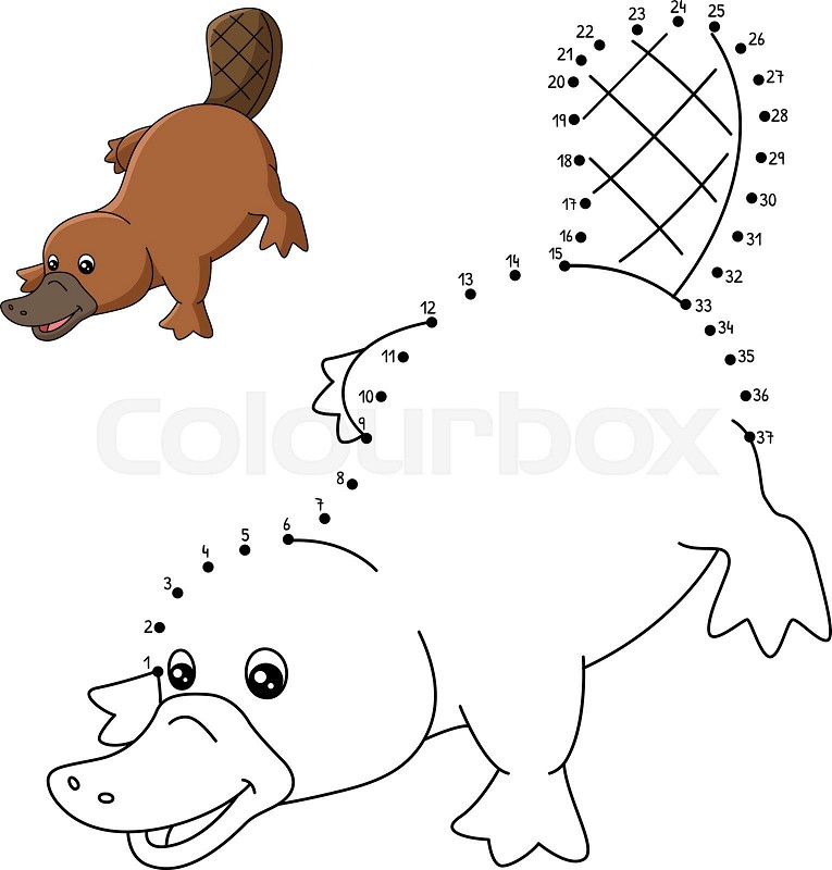 Dot to dot platypus coloring page for kids stock vector