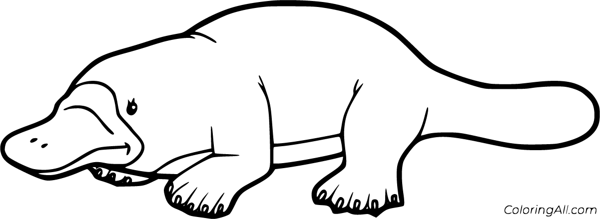 Free printable platypus coloring pages in vector format easy to print from any device and automatically fit â coloring pages platypus elephant coloring page