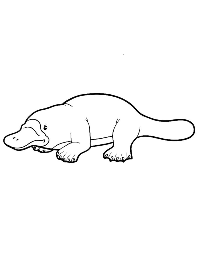 Platypus coloring pages