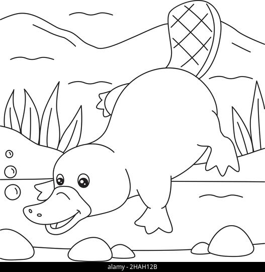 Platypus coloring page for kids stock vector image art