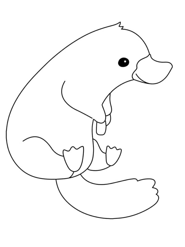 Platypus coloring pages