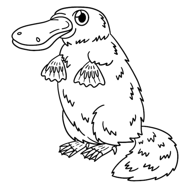 Premium vector platypus isolated coloring page for kids