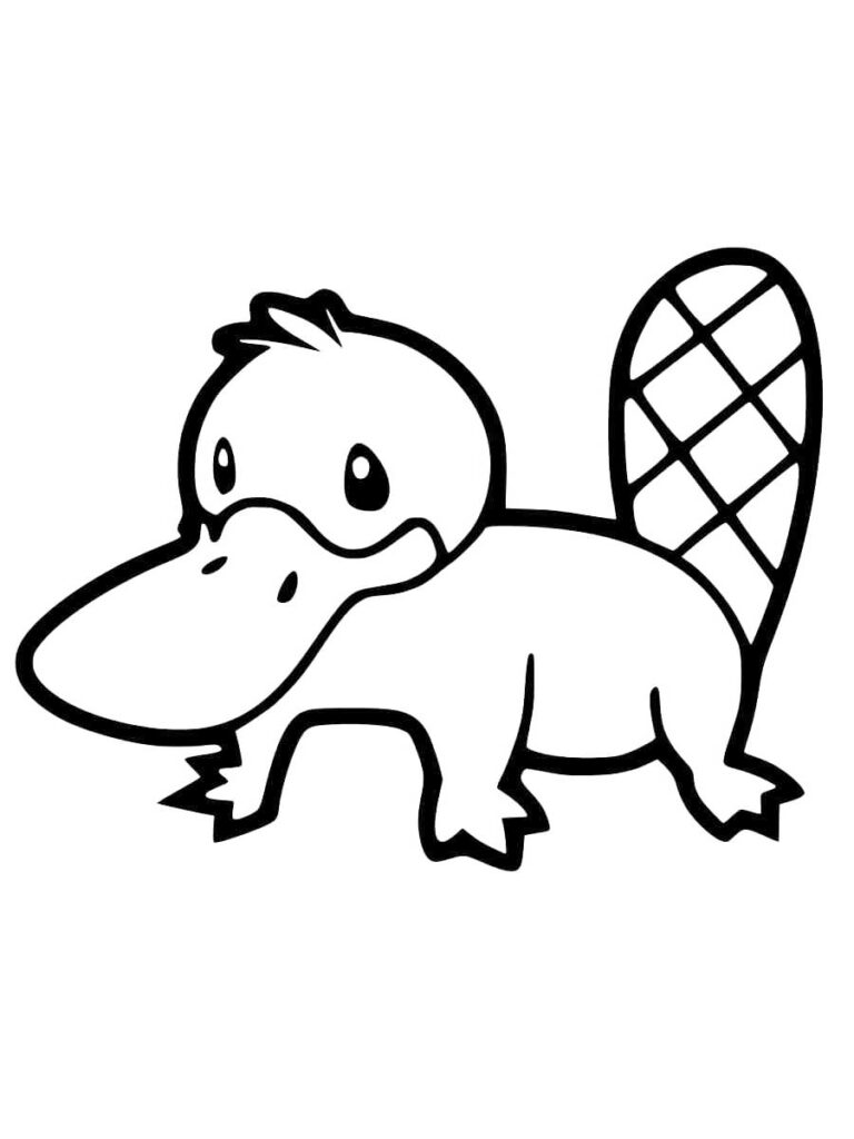 Platypus coloring pages