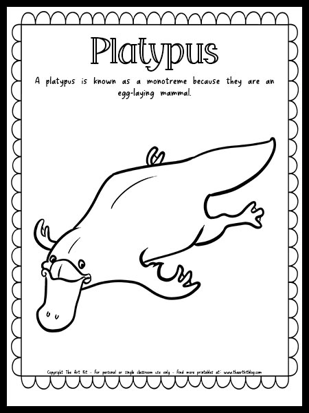 Platypus coloring page with fun fact free printable download â the art kit