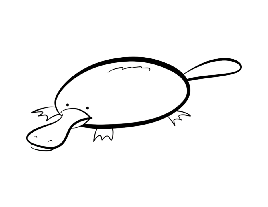 Platypus coloring pages