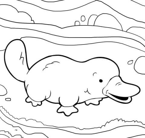 Cute platypus coloring page from platypus category select from printable crafts of cartoons nature animaâ animal coloring pages coloring pages platypus