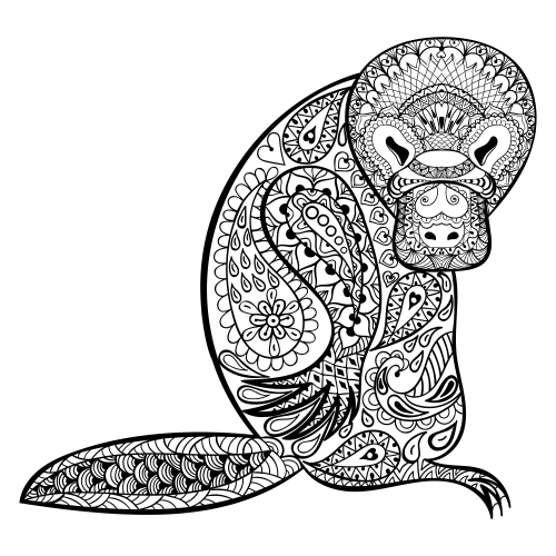 Duck billed platypus coloring page