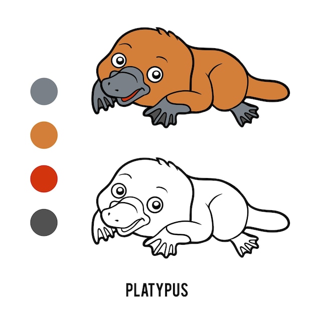 Premium vector coloring book for children platypus