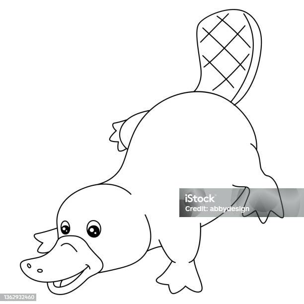 Platypus coloring page isolated for kids stock illustration