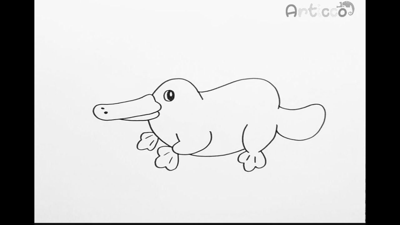 How to drawing platypus easy for kids