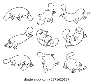 Platypus drawing images stock photos d objects vectors