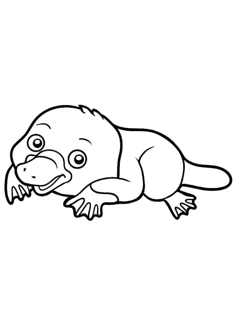 Platypus coloring pages