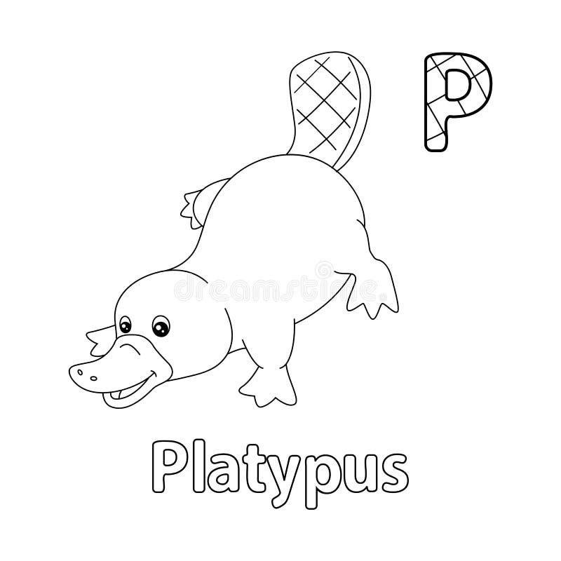 Platypus coloring stock illustrations â platypus coloring stock illustrations vectors clipart