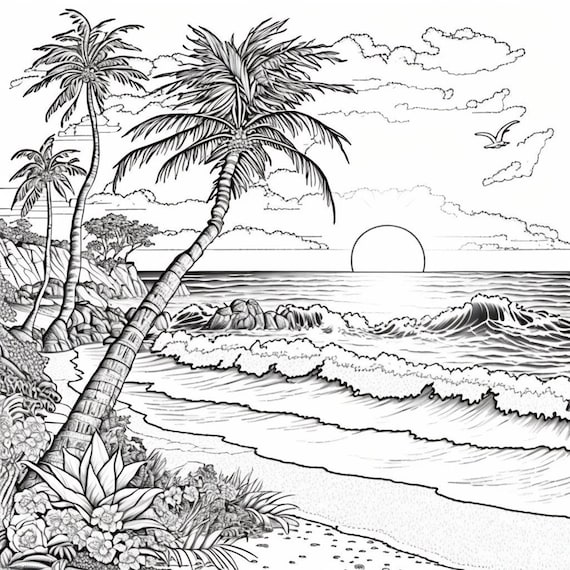 Escena de playa para colorear paquete pãginas de descarga digital png playa puesta de sol velero pãginas para colorear en blanco y negro