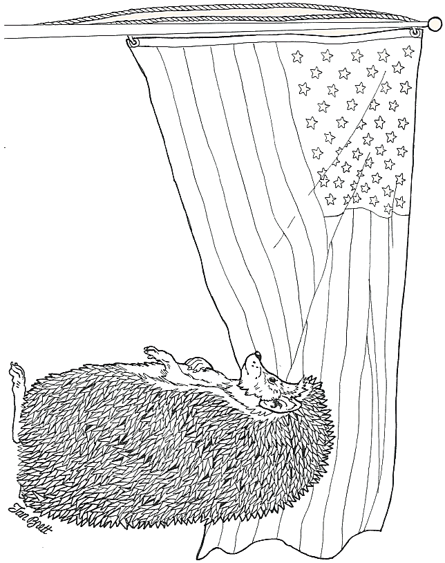 Pledge allegiance to the flag coloring page