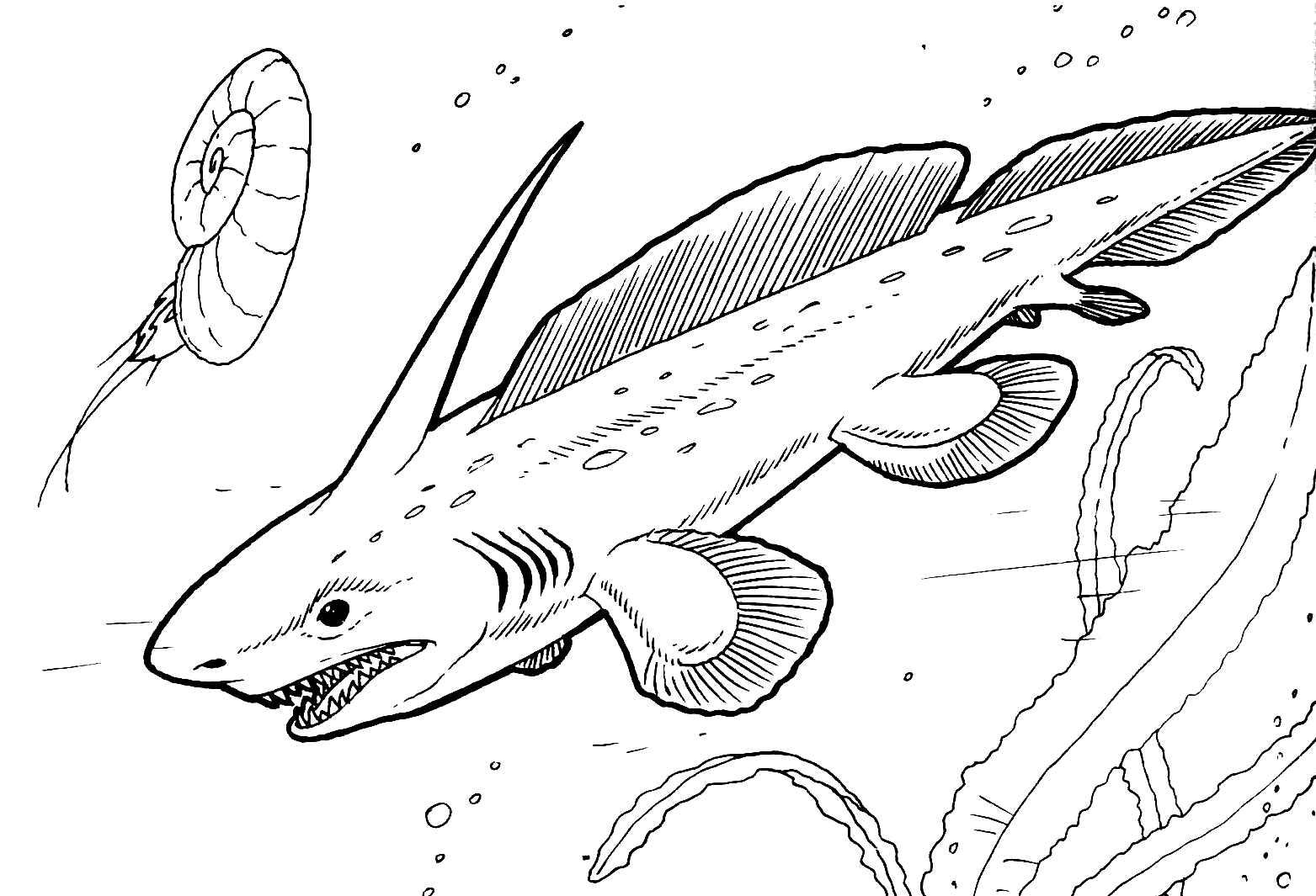 Coloring page