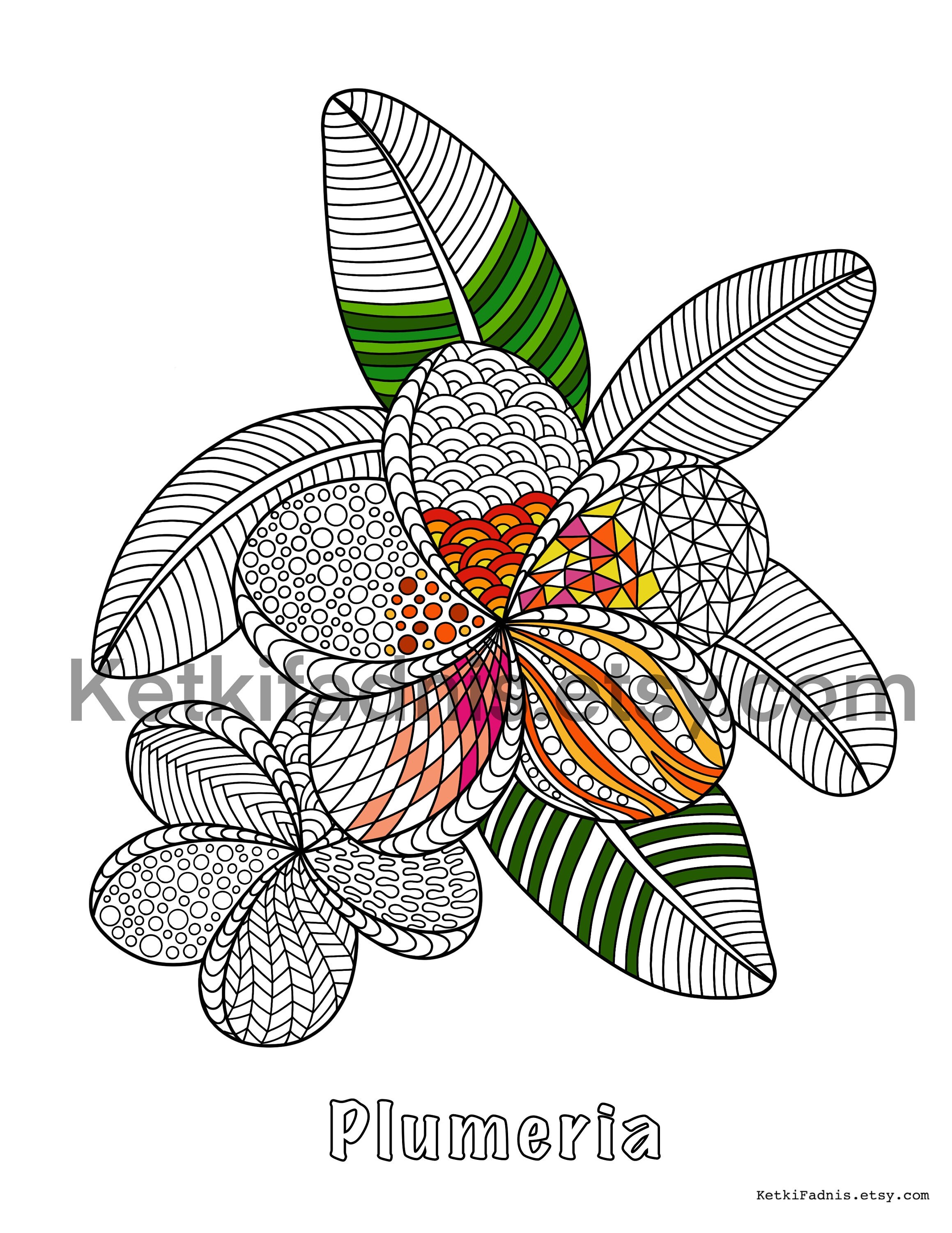 Plumeria flower coloring page flower coloring page pdf download digital download coloring page zentangle