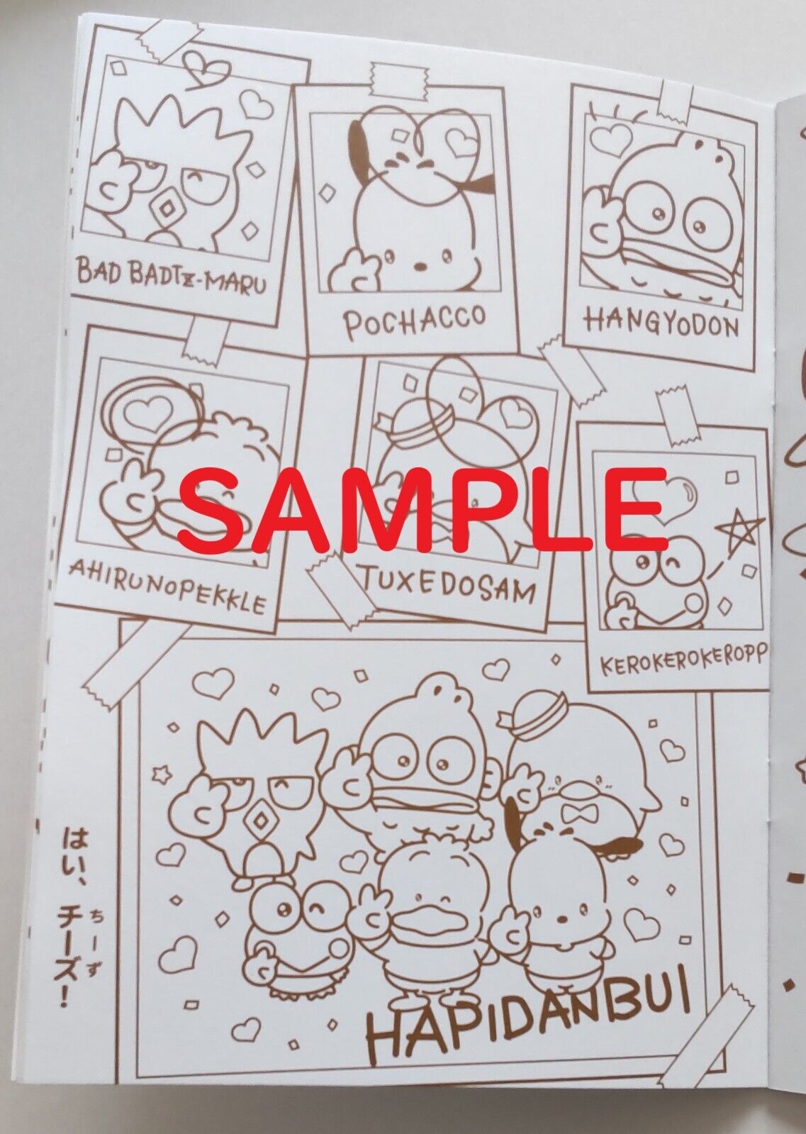 Hapidanbui sanrio coloring book â japanese creative bookstore sanrio